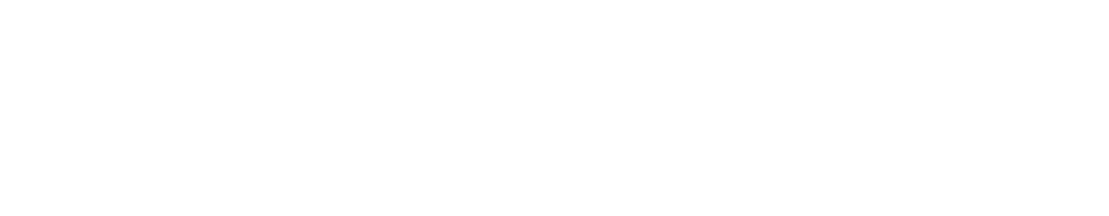 Evolution Gaming logo